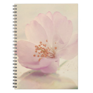 Cuaderno Flor suave de cerezo rosa suave