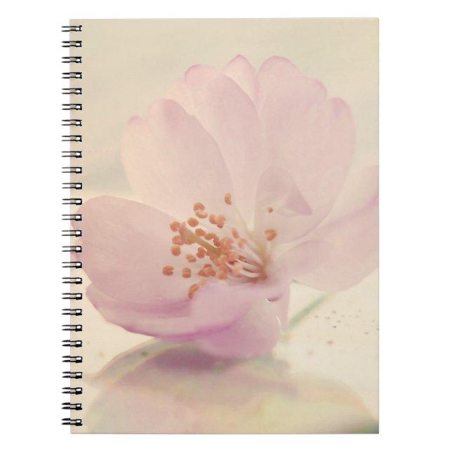 Cuaderno Flor suave de cerezo rosa suave (Frente)