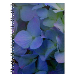 Cuaderno Flor violeta púrpura rosa azul horangeas floral