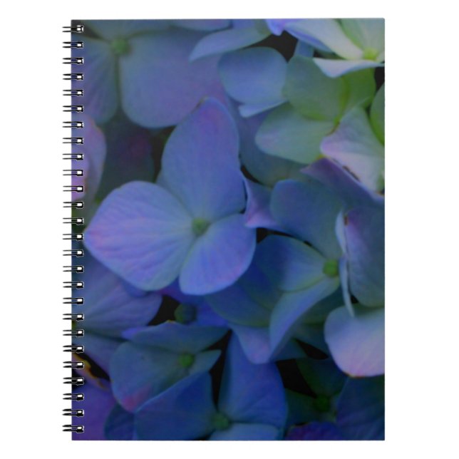 Cuaderno Flor violeta púrpura rosa azul horangeas floral (Frente)