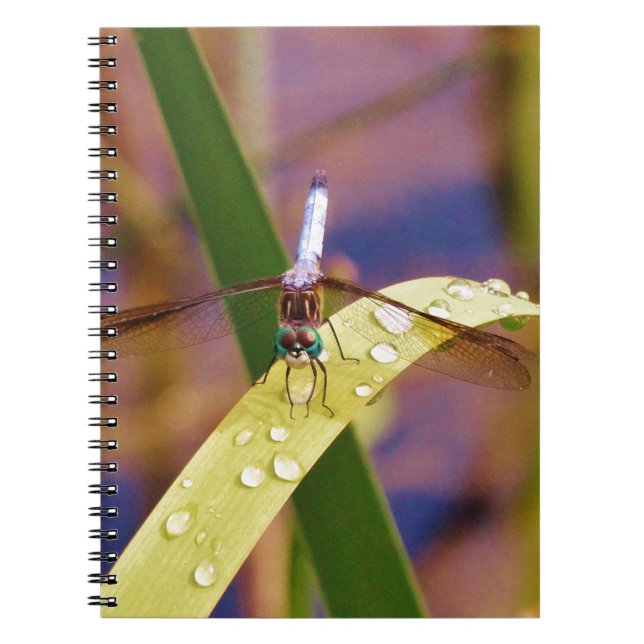 Cuaderno Flora de dragón en hojas de roca de lluvia (Frente)