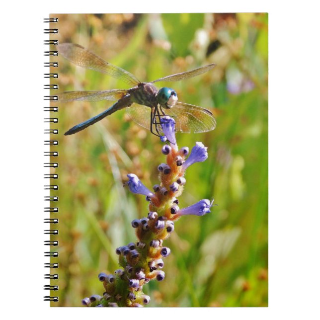 Cuaderno Flora de lavanda (Frente)