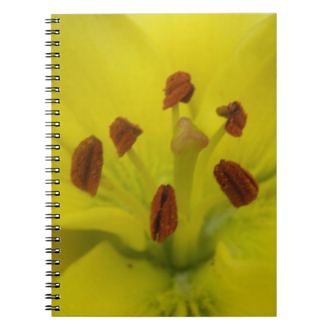 Cuaderno floral amarillo Lily (Frente)