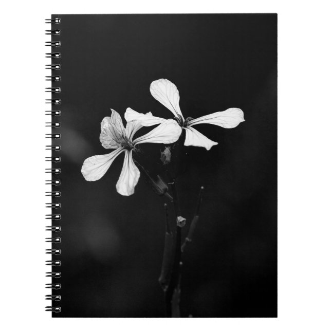Cuaderno floral blanca y negra mínima (Frente)