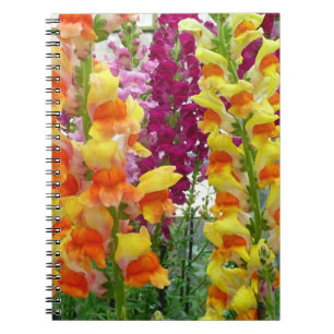 Cuaderno Floral colorida de Snapdragons