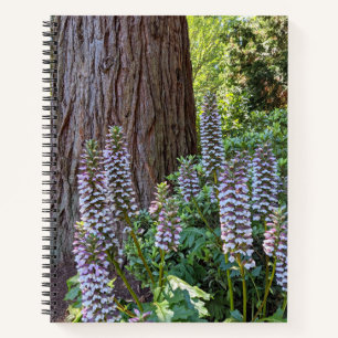 Cuaderno floral de Acanthus/Osos de jardín