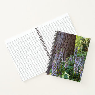 Cuaderno floral de Acanto/Brécoles de Oso