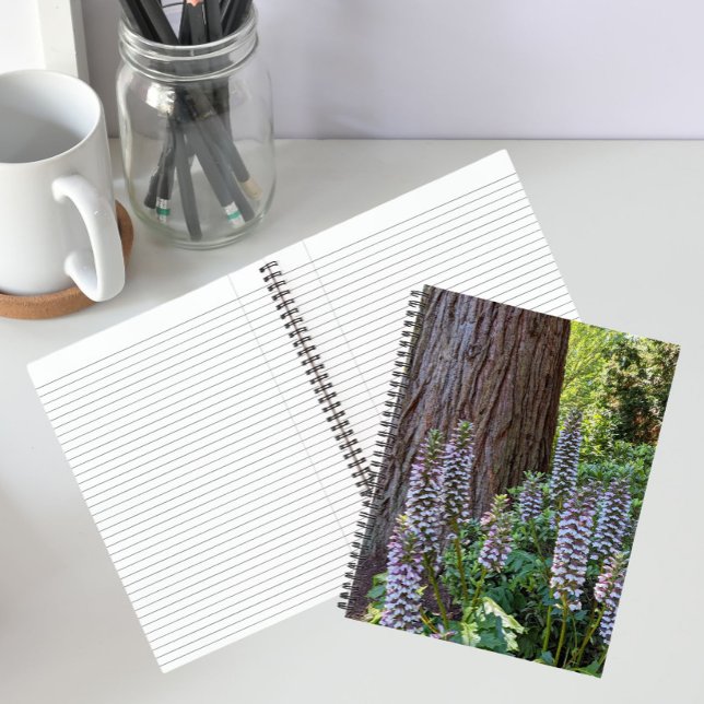 Cuaderno floral de Acanto/Brécoles de Oso (In Situ)