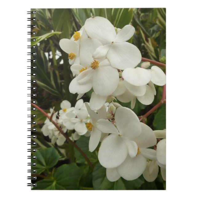 Cuaderno Floral de Begonia blanca tropical (Frente)