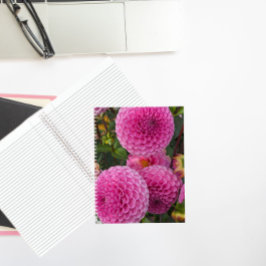 Cuaderno Floral de bola rosa Dahlias