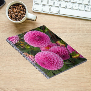 Cuaderno Floral de bola rosa Dahlias