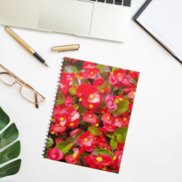 Cuaderno Floral de cera roja Begonias