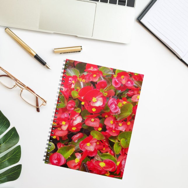 Cuaderno Floral de cera roja Begonias (In Situ)