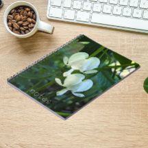 Floral de corazón sangrante blanco