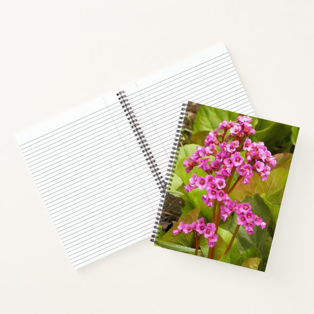 Cuaderno Floral de Flores Bergenia Rosadas (Interior)