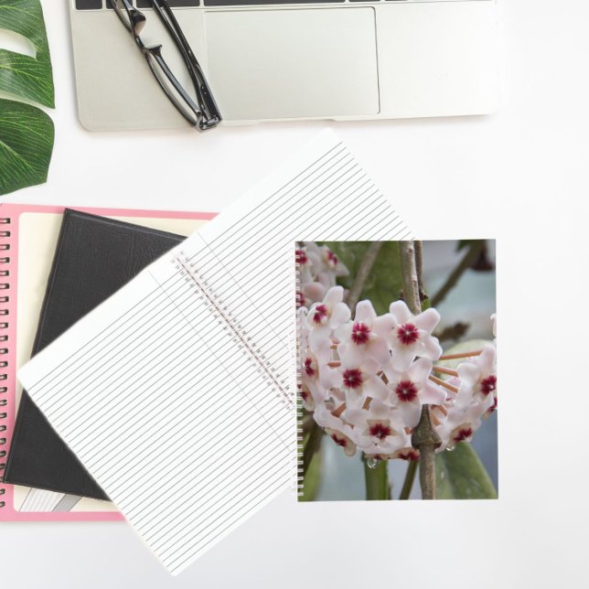 Cuaderno floral de flores de planta Hoya (In Situ)