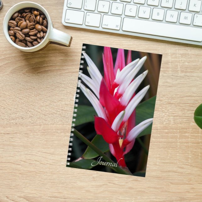 Cuaderno Floral de Heliconia Roja y Blanca (In Situ)