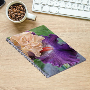 Cuaderno Floral de iris con barba morada y morada