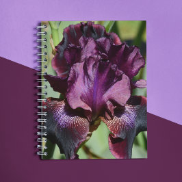 Cuaderno Floral de iris violeta profunda