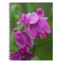 Cuaderno floral de los Wildflowers rosados bonitos