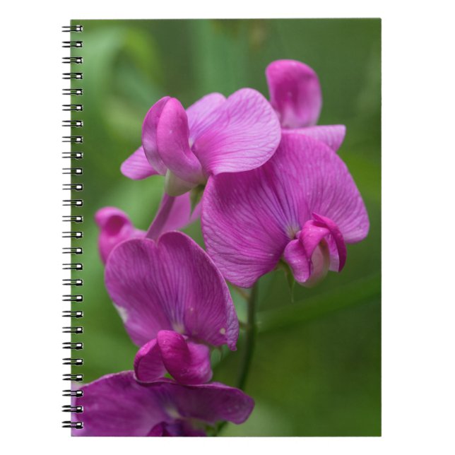 Cuaderno floral de los Wildflowers rosados bonitos (Frente)