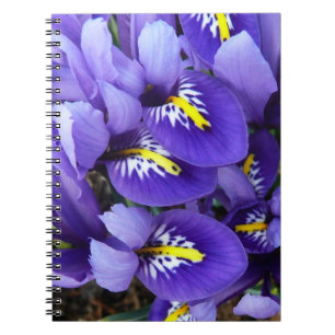 Cuaderno Floral de primavera de irlandeses azules en miniat