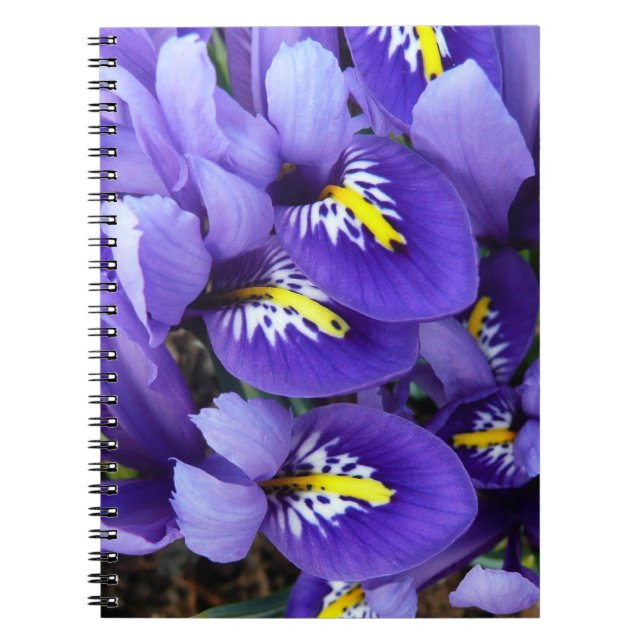 Cuaderno Floral de primavera de irlandeses azules en miniat (Frente)