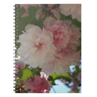 Cuaderno Floral de primavera del árbol de cerezo doble flor