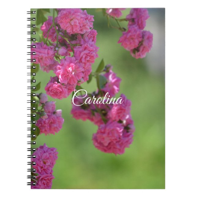 Cuaderno Floral de rosas rosadas bonitos (Frente)