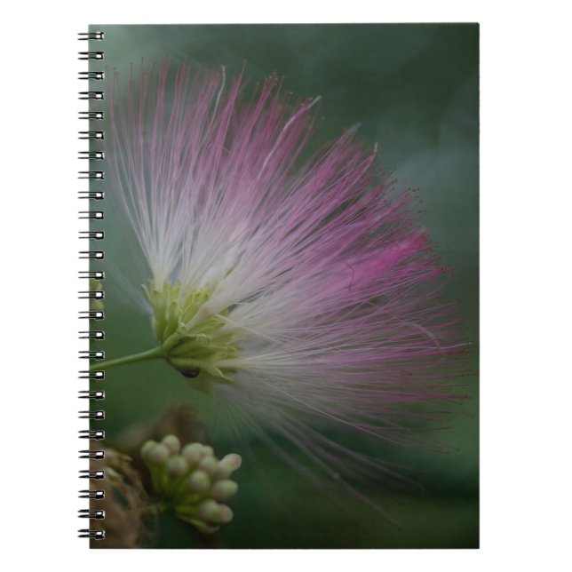 Cuaderno floral del Wildflower del rosa del árbol (Frente)