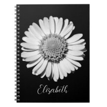 Floral Elegante Big Black y White Daisy Añadir nom