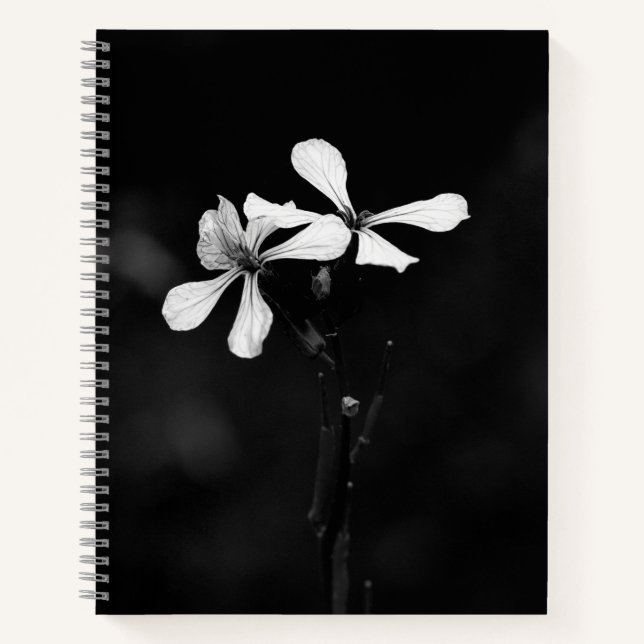 Cuaderno floral en blanco y negro minimalista (Anverso)