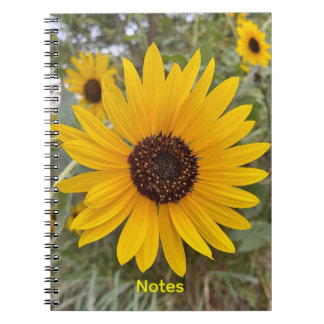 Cuaderno Floral Girasol Dorado