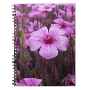 Cuaderno Floral hermoso