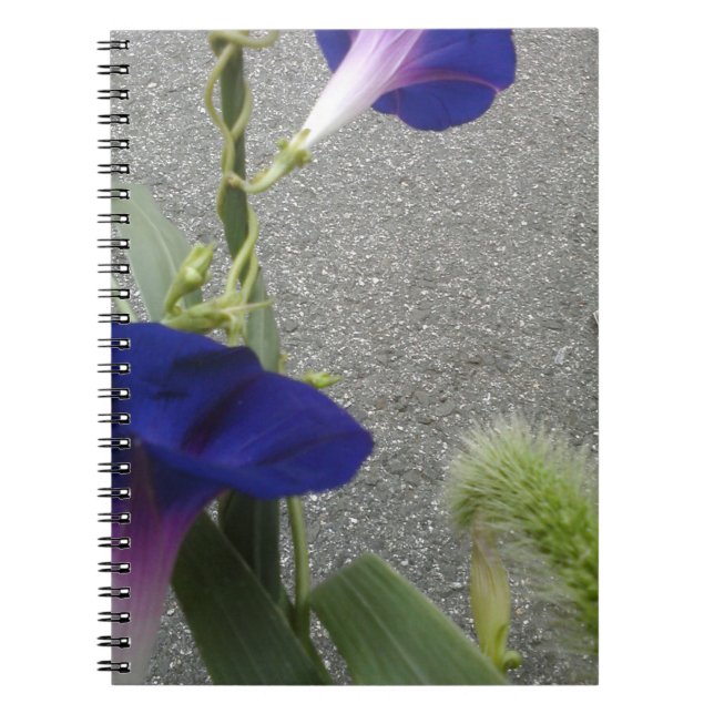 Cuaderno Floral púrpura (Frente)