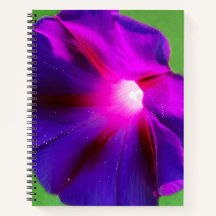Floral Purpura