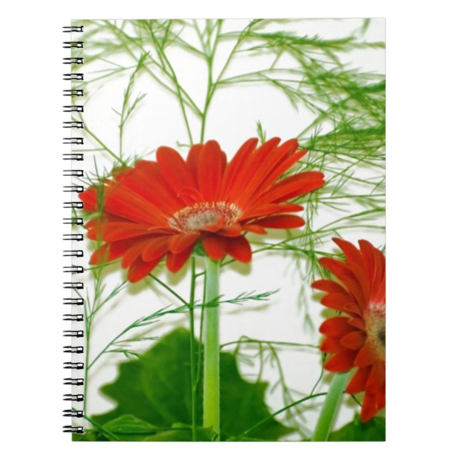 Cuaderno Floral rojo (Frente)