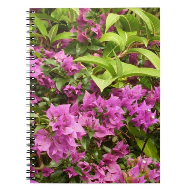 Cuaderno Floral Tropical Morada Bougainvillea (Frente)