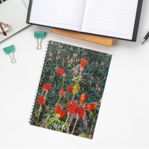 Cuaderno Floral vegetal de Señores y Damas