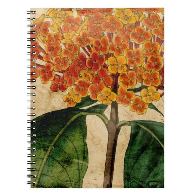 Cuaderno Floral vibrante I (Frente)