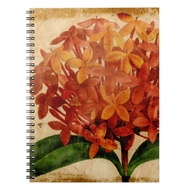 Cuaderno Floral vibrante III (Frente)