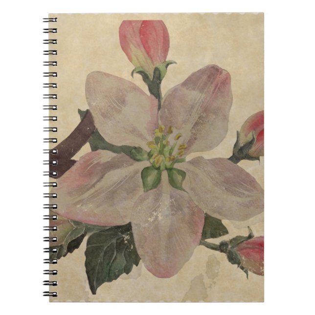 Cuaderno Floral:Vintage (Frente)