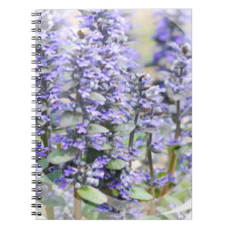 Cuaderno floreciente del Ajuga