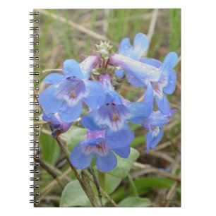 Cuaderno Florecillas Azules Salvajes F3 Slender Blue Beardt