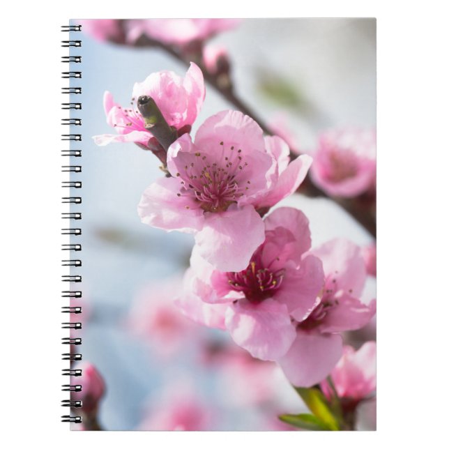 Cuaderno Florecimiento de la primavera (Frente)