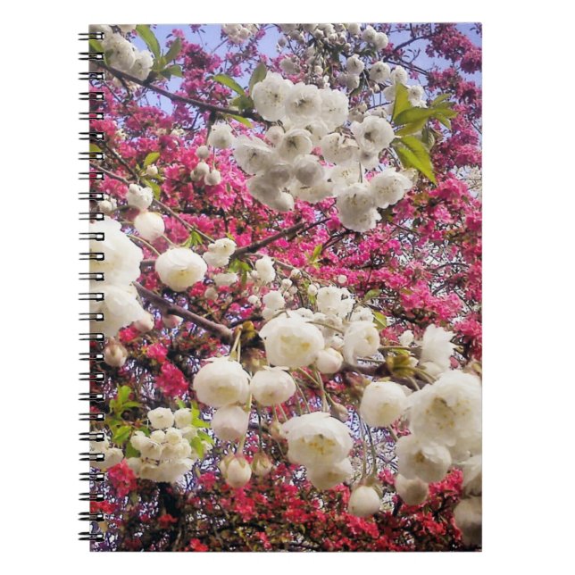 Cuaderno Florecimiento de la primavera blanca y rosa en Gal (Frente)