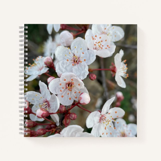 Cuaderno Florecimiento de primavera (Anverso)