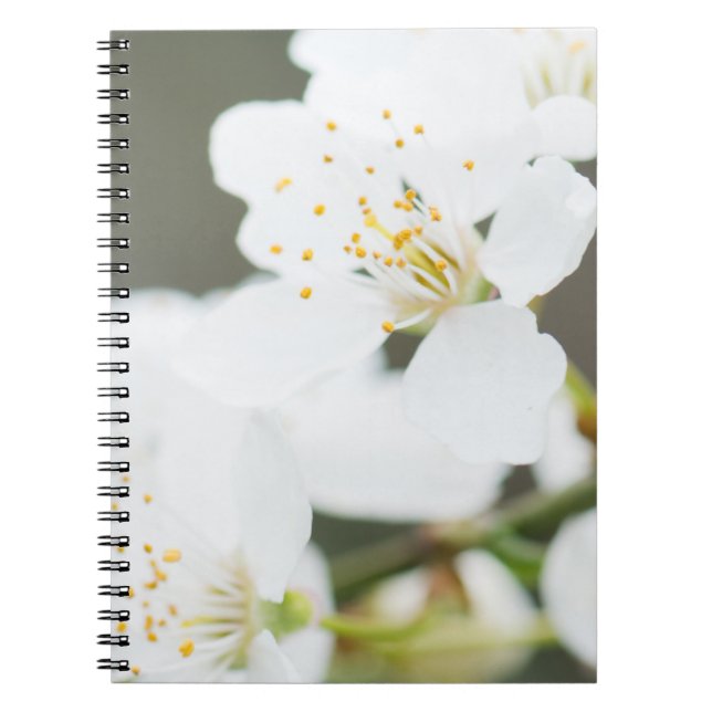 Cuaderno Florecimiento de primavera (Frente)