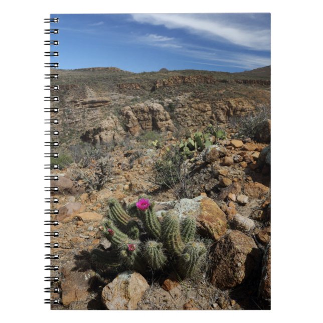 Cuaderno Florecimiento del cactus (Frente)