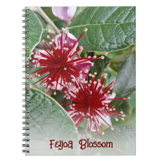 Cuaderno Florecimiento floral rojo de Nueva Zelanda